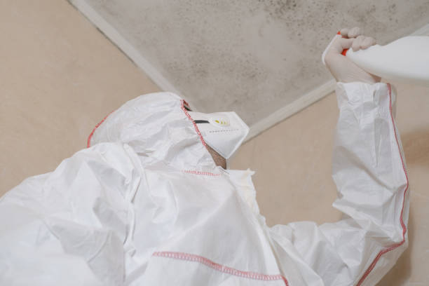 Home Mold Removal in Sunset Hills, MO