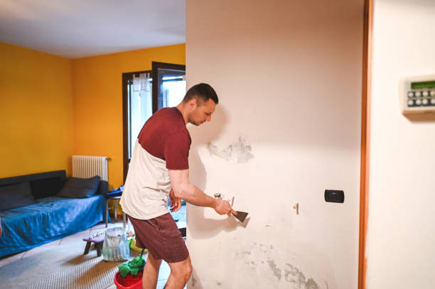 Best Toxic Mold Removal  in Sunset Hills, MO