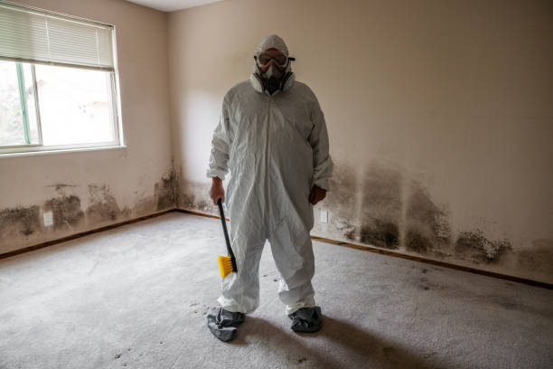 Best Commercial Mold Removal  in Sunset Hills, MO